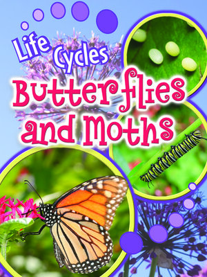 Butterflies and Moths - ebook